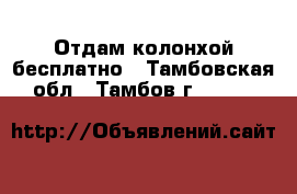 Отдам колонхой бесплатно - Тамбовская обл., Тамбов г.  »    